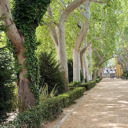 Casa Rosetta Boutique * Xàtiva