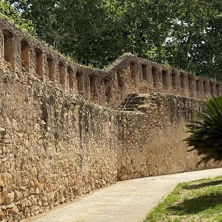 Casa Rosetta Boutique Xativa