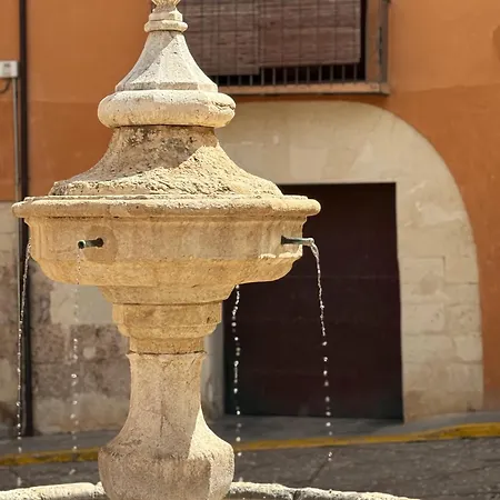 Casa Rosetta Boutique Xativa