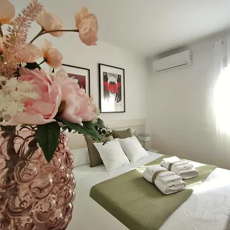 Casa Rosetta Boutique Xativa