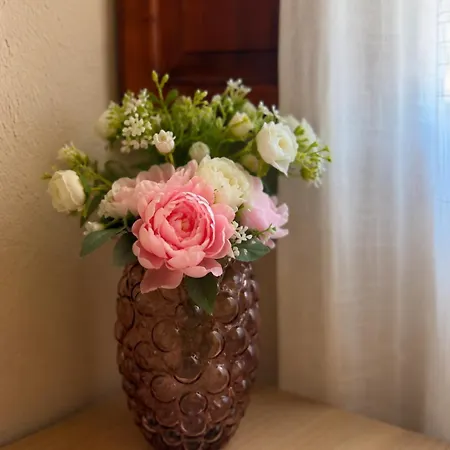 Konukevi Casa Rosetta Boutique Xàtiva